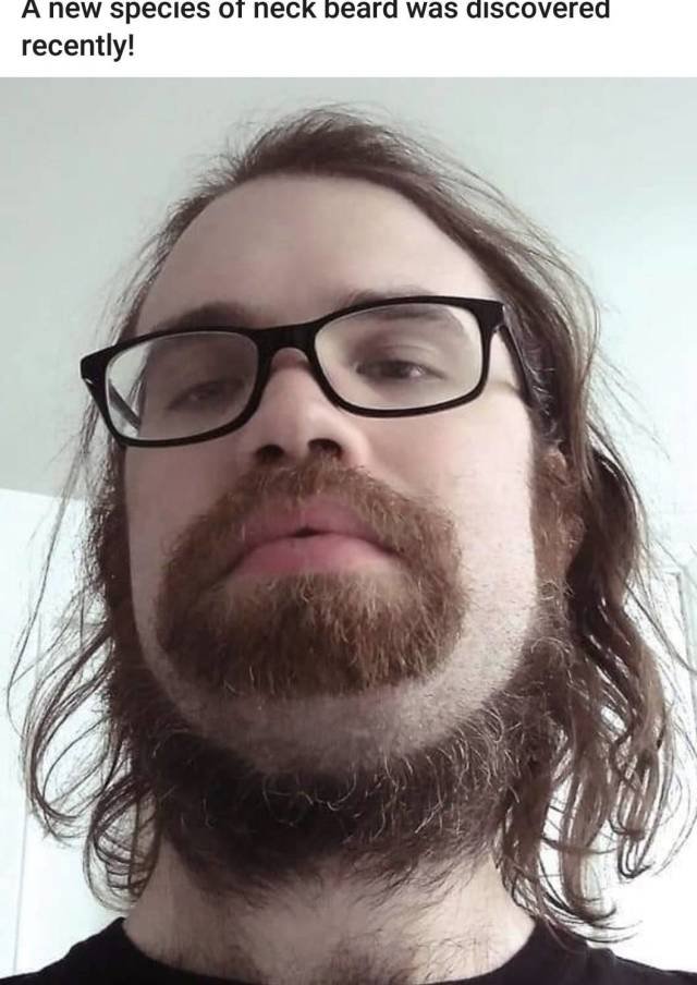 Bildschirmarbeiter - Picdump 11.01.2019