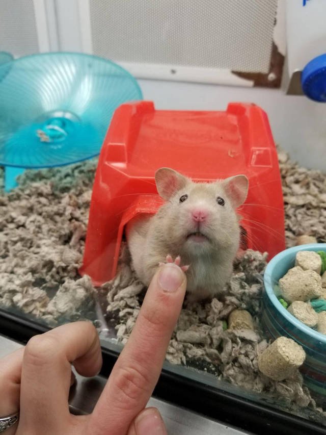 Bildschirmarbeiter - Picdump 11.01.2019