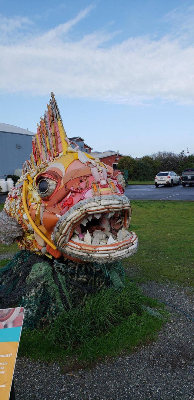 Bildschirmarbeiter - Picdump 11.01.2019