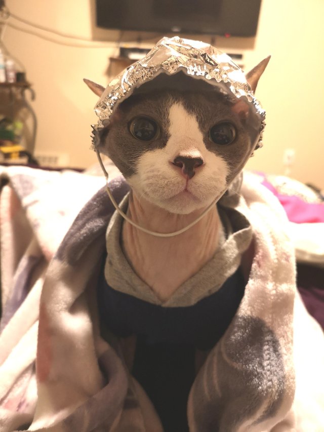 Bildschirmarbeiter - Picdump 08.02.2019