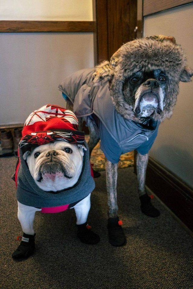 Bildschirmarbeiter - Picdump 08.02.2019