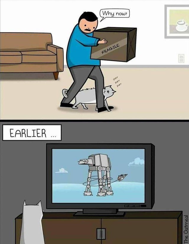 Bildschirmarbeiter - Picdump 08.02.2019