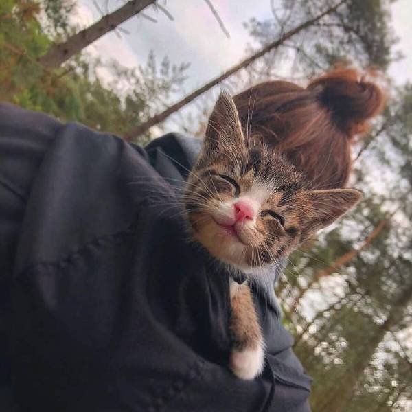 Bildschirmarbeiter - Picdump 08.02.2019