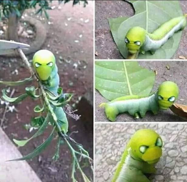 Bildschirmarbeiter - Picdump 08.02.2019