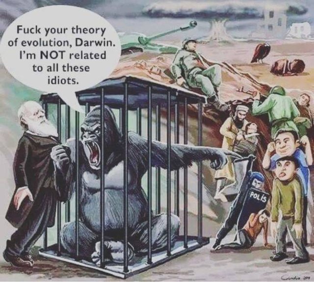 Bildschirmarbeiter - Picdump 08.02.2019