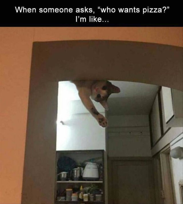 Bildschirmarbeiter - Picdump 08.02.2019