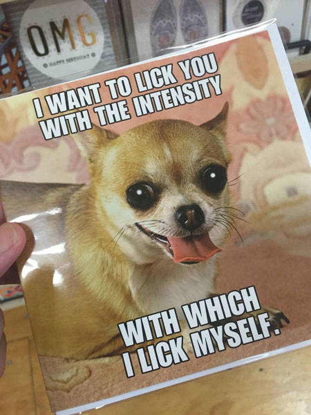 Bildschirmarbeiter - Picdump 08.02.2019