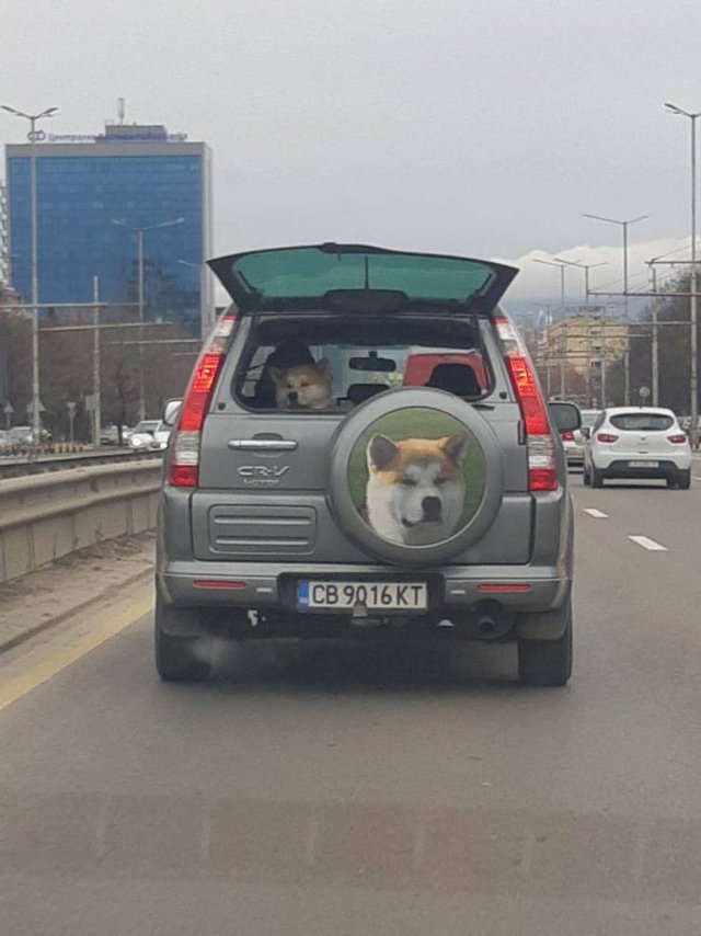 Bildschirmarbeiter - Picdump 08.02.2019