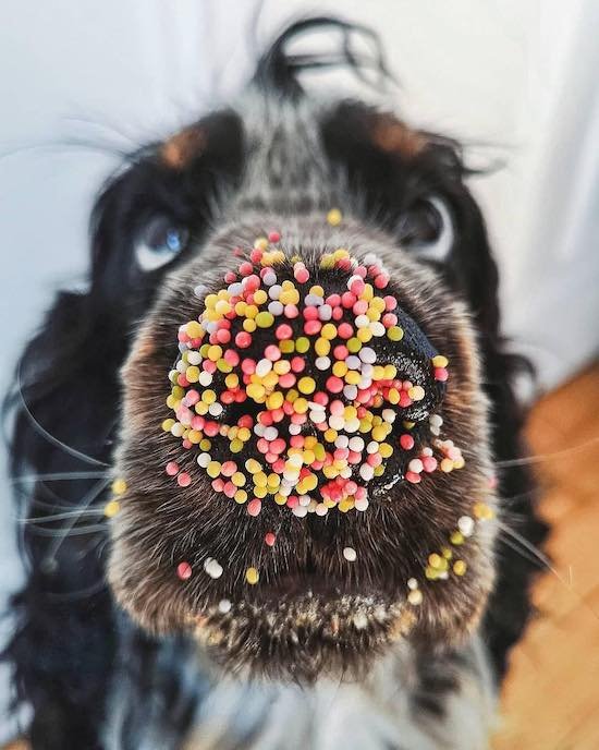 Bildschirmarbeiter - Picdump 08.02.2019