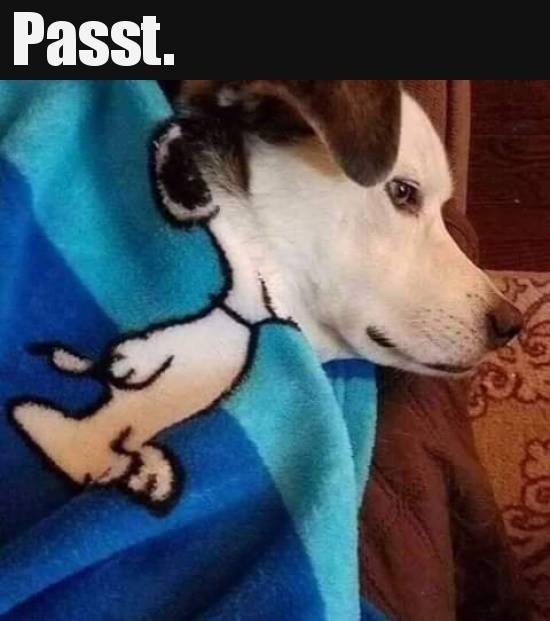 Bildschirmarbeiter - Picdump 15.02.2019