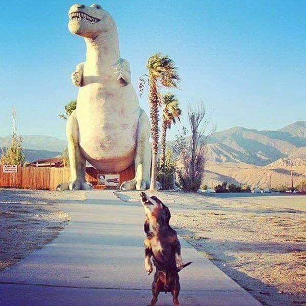 Bildschirmarbeiter - Picdump 15.02.2019