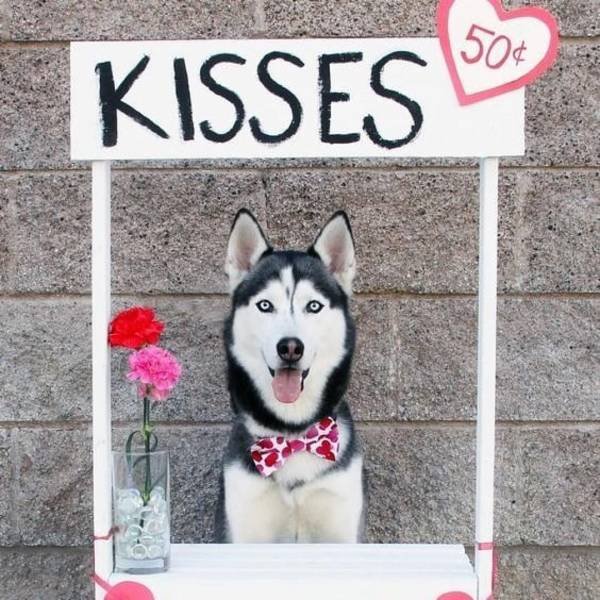 Bildschirmarbeiter - Picdump 15.02.2019