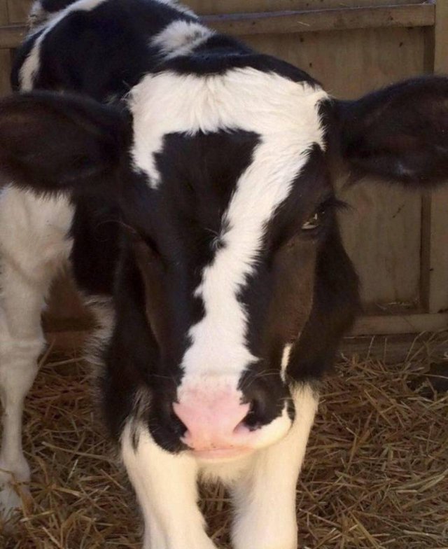 Bildschirmarbeiter - Picdump 15.02.2019