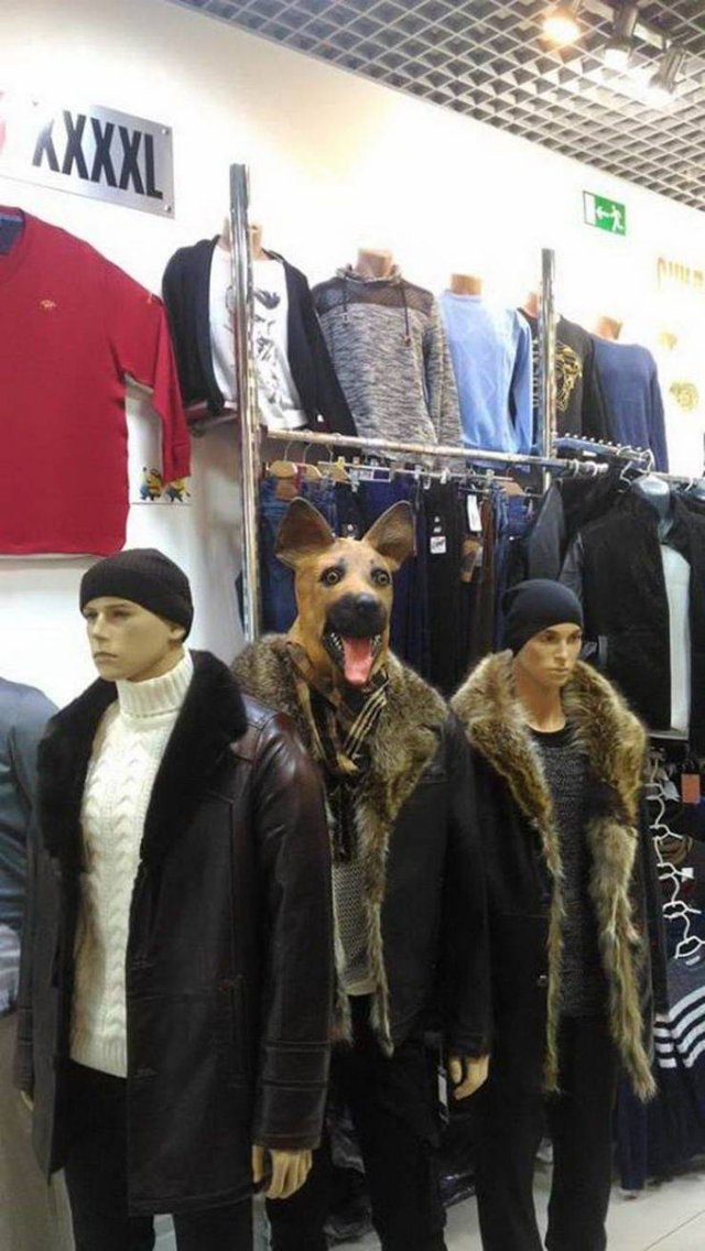 Bildschirmarbeiter - Picdump 15.02.2019