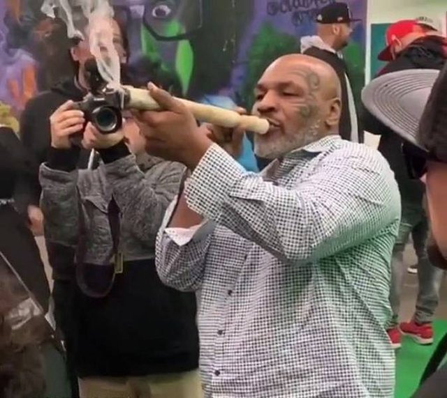 Bildschirmarbeiter - Picdump 15.02.2019