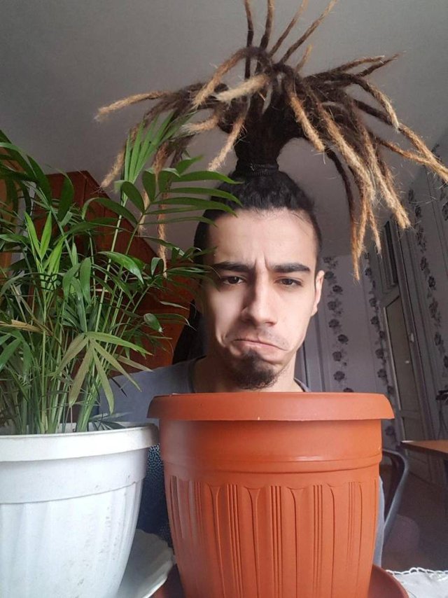 Bildschirmarbeiter - Picdump 15.02.2019