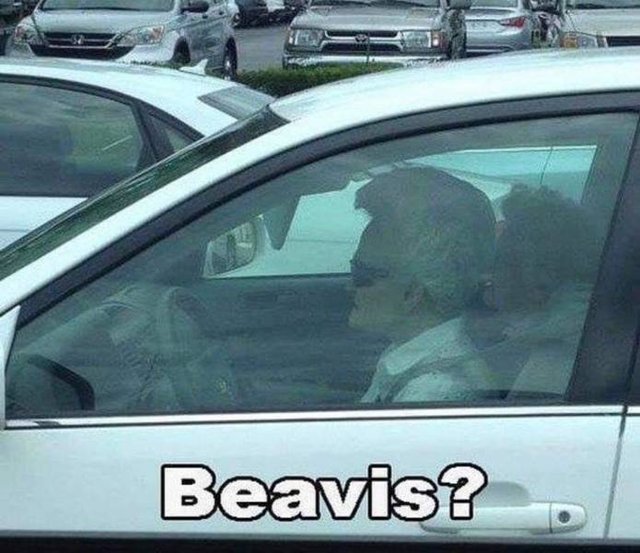 Bildschirmarbeiter - Picdump 15.02.2019