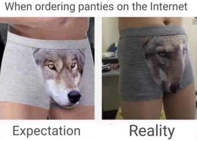 Bildschirmarbeiter - Picdump 15.02.2019