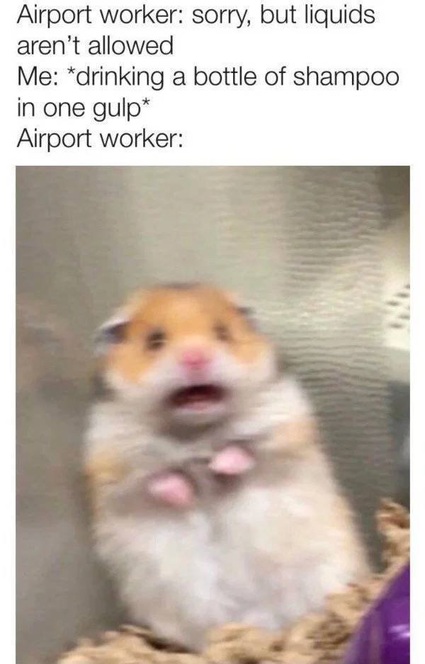 Bildschirmarbeiter - Picdump 15.02.2019