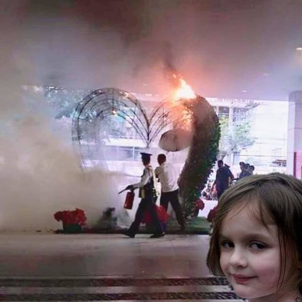 Bildschirmarbeiter - Picdump 15.02.2019