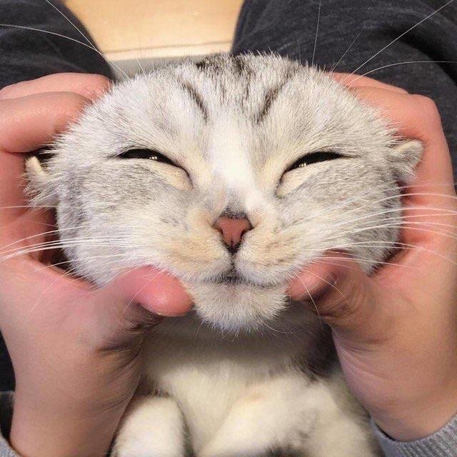 Bildschirmarbeiter - Picdump 15.02.2019