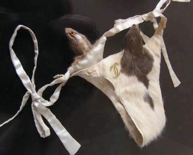 Bildschirmarbeiter - Picdump 15.02.2019