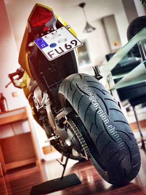 Bildschirmarbeiter - Picdump 01.03.2019