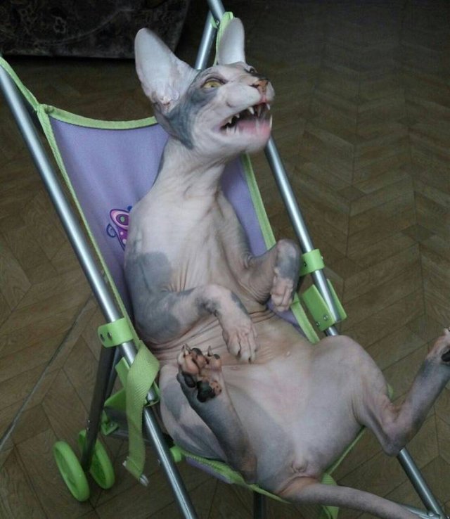 Bildschirmarbeiter - Picdump 01.03.2019