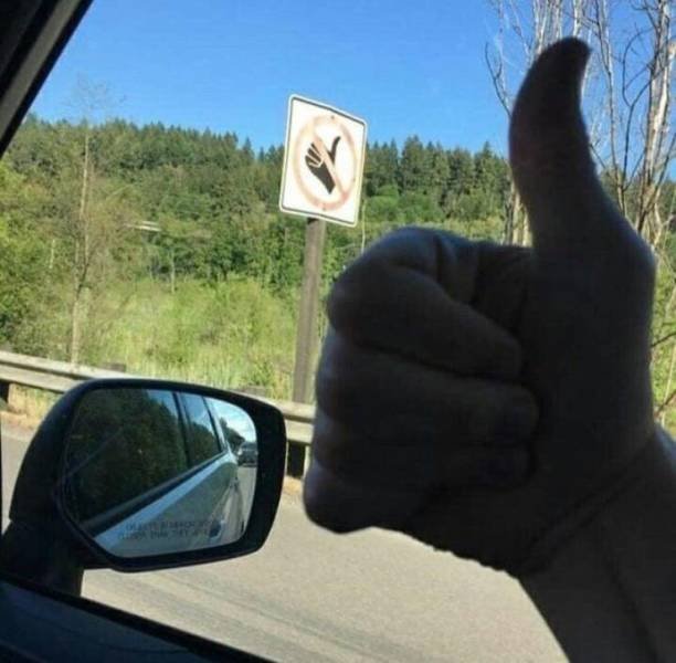 Bildschirmarbeiter - Picdump 01.03.2019