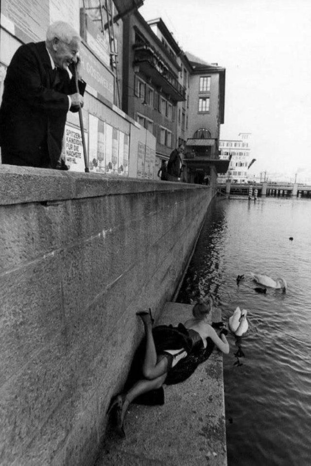 Bildschirmarbeiter - Picdump 01.03.2019