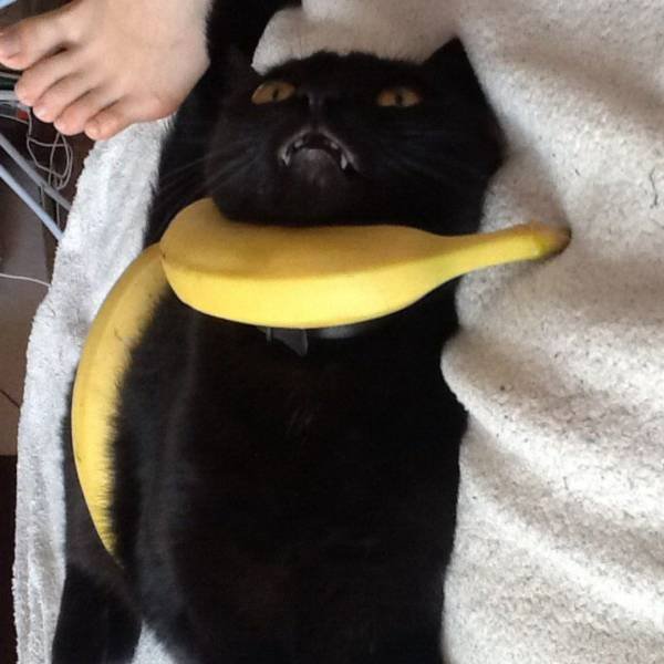 Bildschirmarbeiter - Picdump 01.03.2019