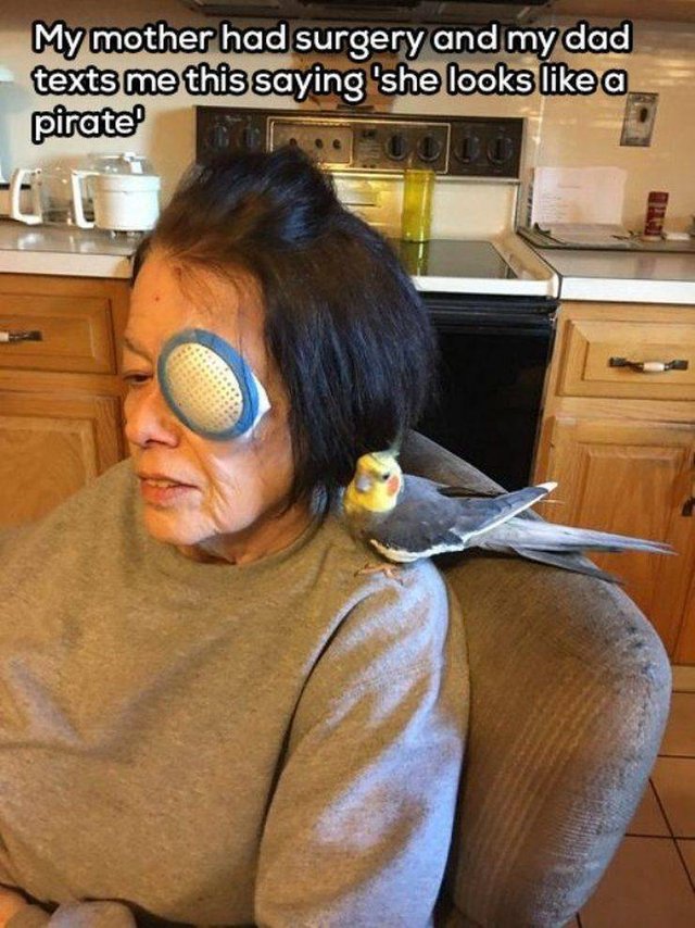 Bildschirmarbeiter - Picdump 01.03.2019