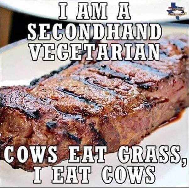 Bildschirmarbeiter - Picdump 01.03.2019