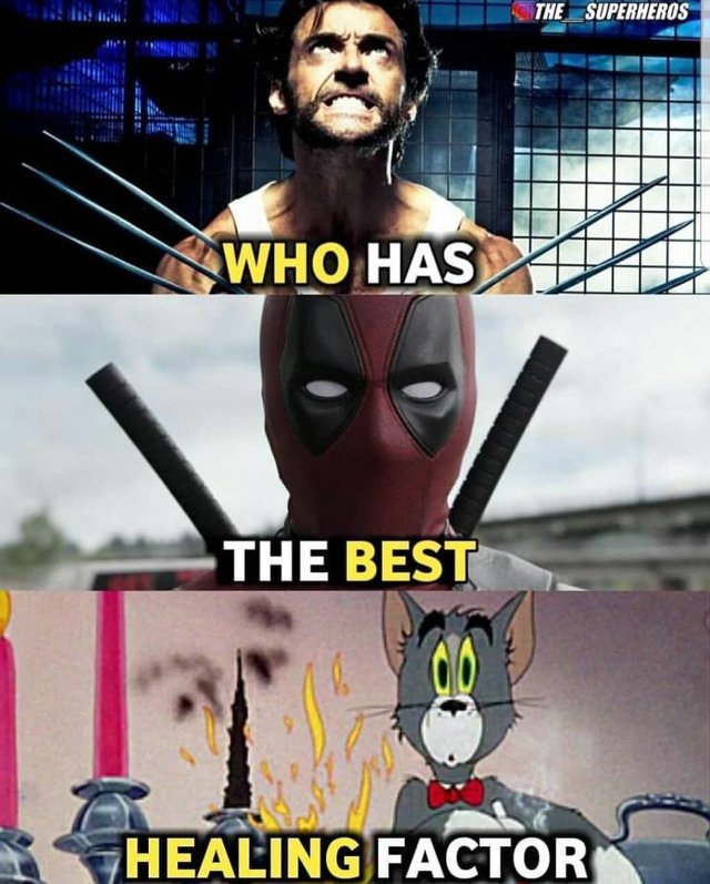 Bildschirmarbeiter - Picdump 01.03.2019