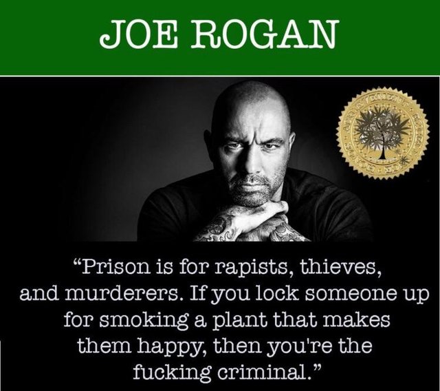 Bildschirmarbeiter - Picdump 01.03.2019