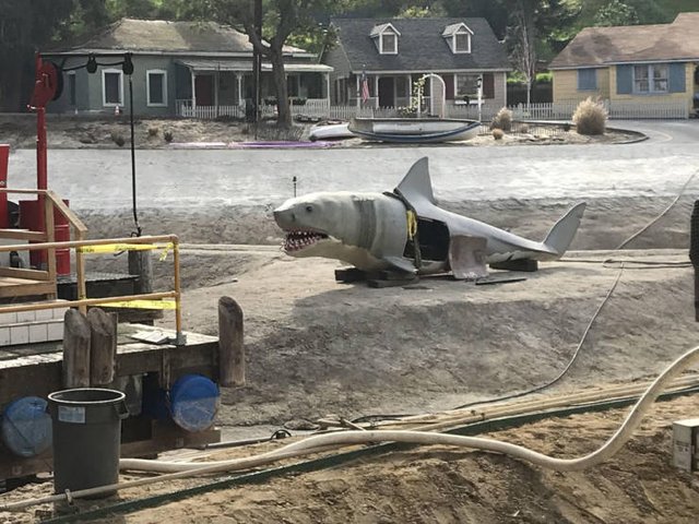 Bildschirmarbeiter - Picdump 01.03.2019