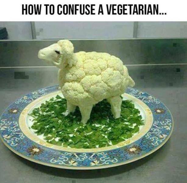 Bildschirmarbeiter - Picdump 01.03.2019