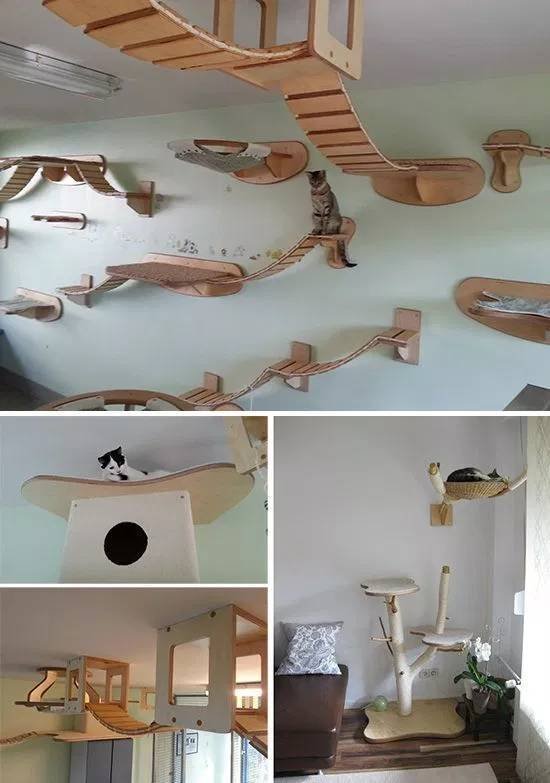 Bildschirmarbeiter - Picdump 01.03.2019