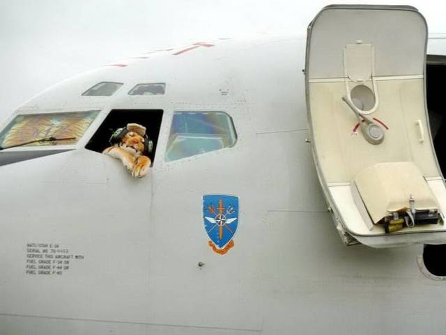 Bildschirmarbeiter - Picdump 15.03.2019