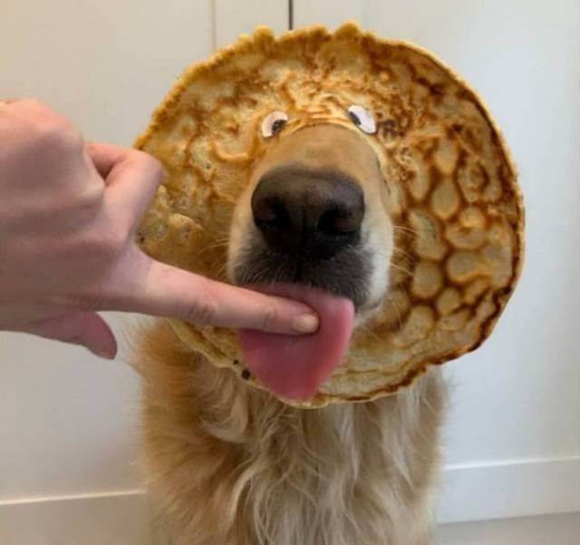 Bildschirmarbeiter - Picdump 15.03.2019