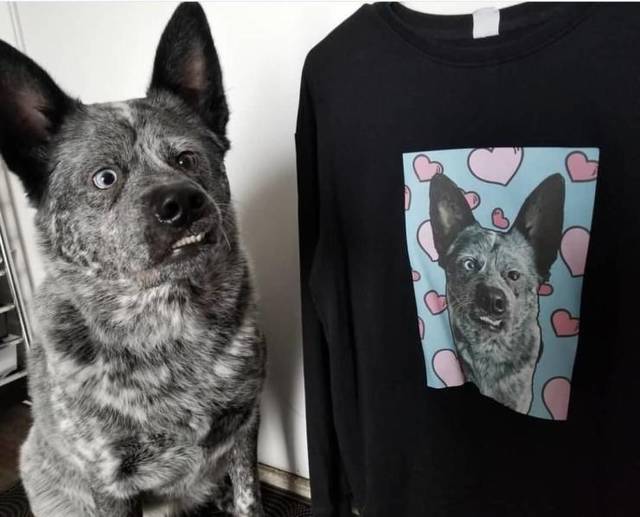 Bildschirmarbeiter - Picdump 15.03.2019