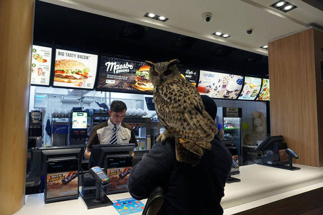 Bildschirmarbeiter - Picdump 15.03.2019