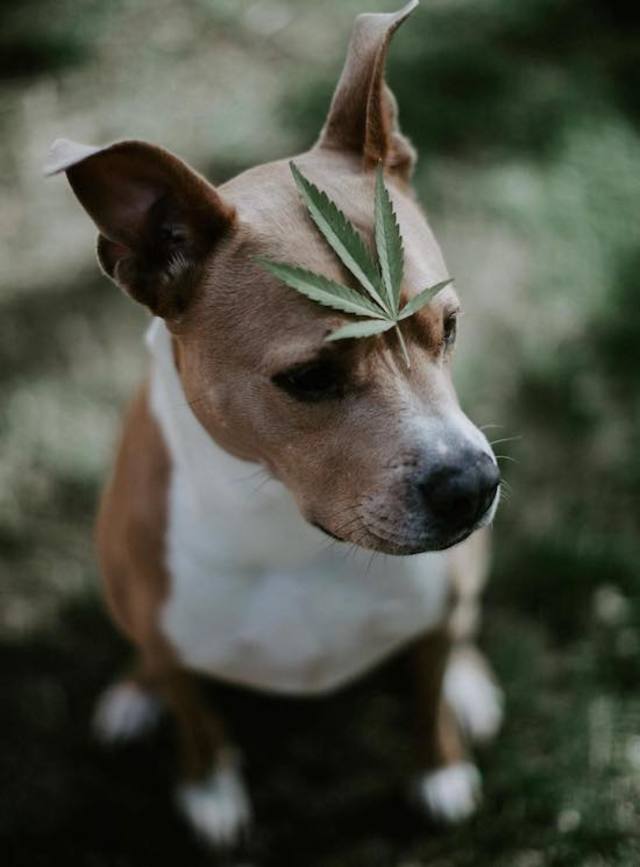 Bildschirmarbeiter - Picdump 15.03.2019