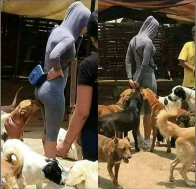 Bildschirmarbeiter - Picdump 22.03.2019