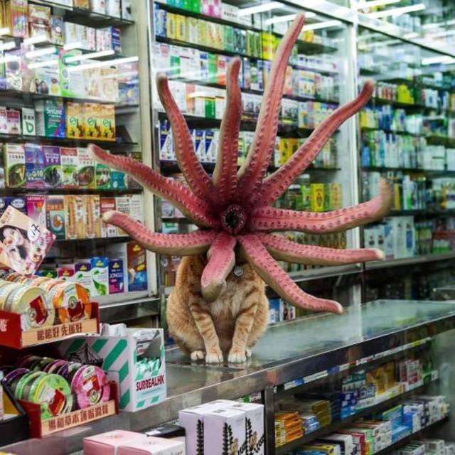 Bildschirmarbeiter - Picdump 22.03.2019