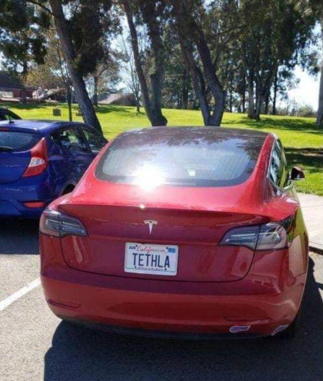 Bildschirmarbeiter - Picdump 22.03.2019