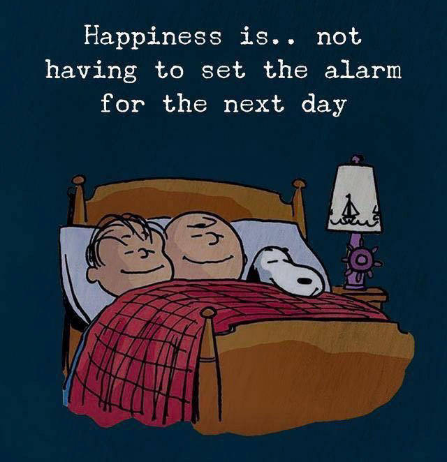 Bildschirmarbeiter - Picdump 22.03.2019