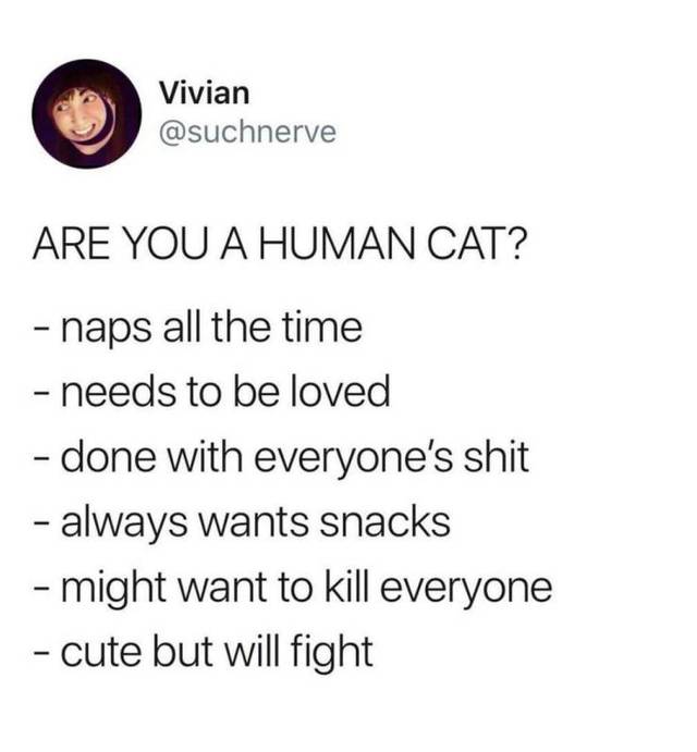 Bildschirmarbeiter - Picdump 22.03.2019