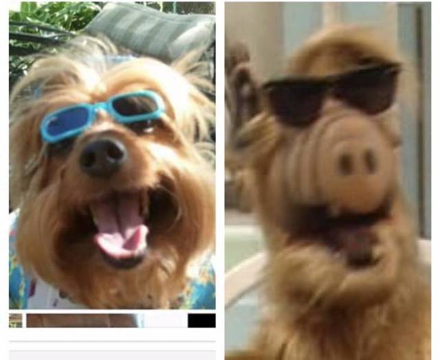 Bildschirmarbeiter - Picdump 22.03.2019