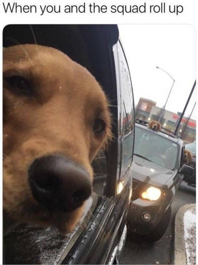 Bildschirmarbeiter - Picdump 22.03.2019